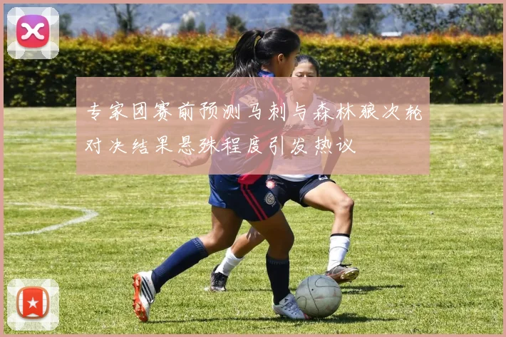 专家团赛前预测马刺与森林狼次轮对决结果悬殊程度引发热议